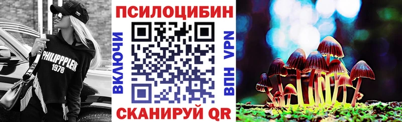 купить наркотики цена  Тавда  Псилоцибиновые грибы прущие грибы 